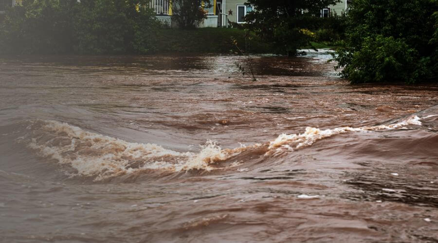 Why choose water damage restoration service for commercial water damage restoration in San Ysidro